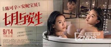 女同国产,揭秘全球女性同性恋文化的独特魅力